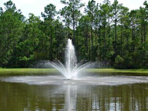 Crown Geyser