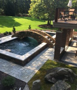 koi pond in backyard