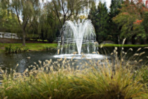 backyard lake geyser