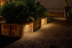 wooden walls with lights