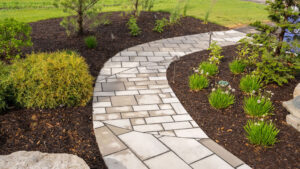 stone path design in backyard